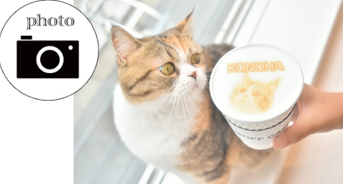 竹下駅近く カフェ開店4月25日 モフ アニマルカフェ ららぽーと福岡店 福岡市博多区那珂にオープン スイーツ カフェ ベーカリー速報